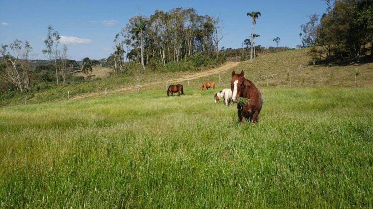 Rancho Sol Poente - Rancho Queimado - Sc Villa Bagian luar foto