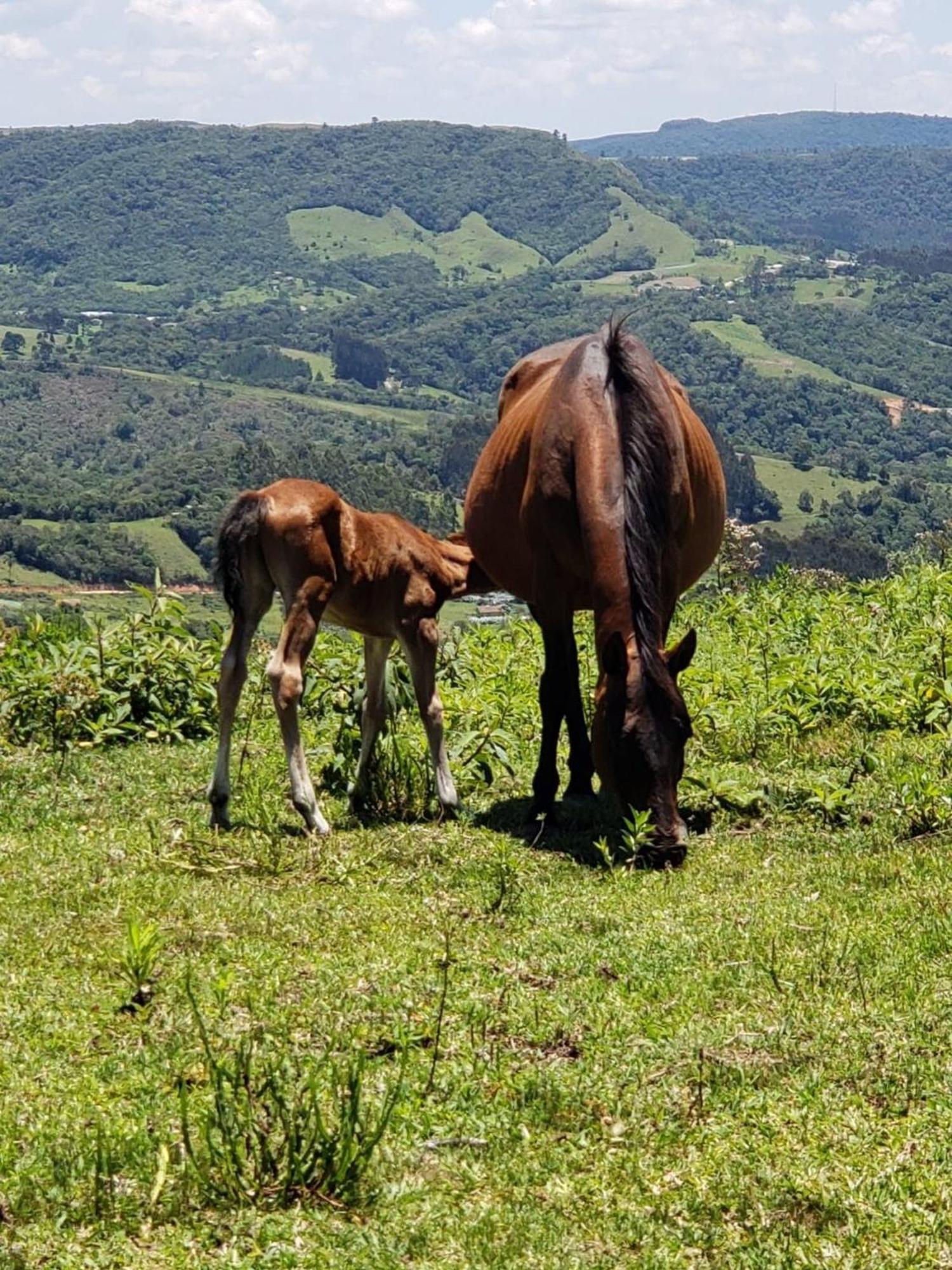 Rancho Sol Poente - Rancho Queimado - Sc Villa Bagian luar foto